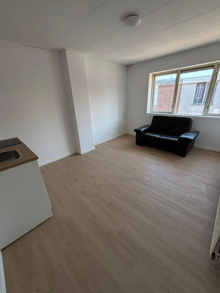Séjour - Shared Rooms with Private Kitchen in Deventer