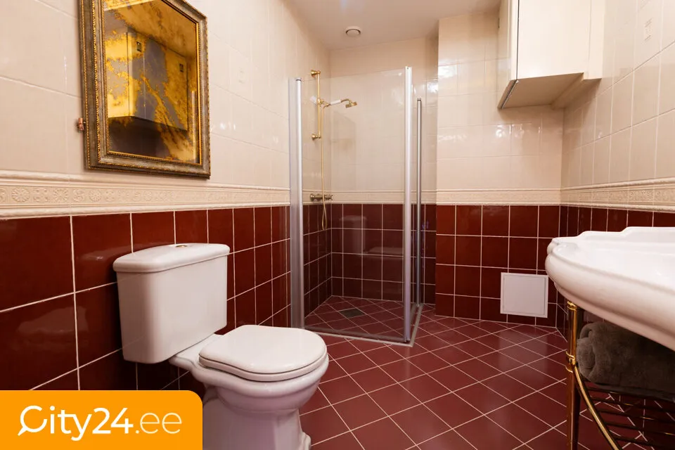 Vannitoad - Modernised Flat with Terrace in Tartu City Centre