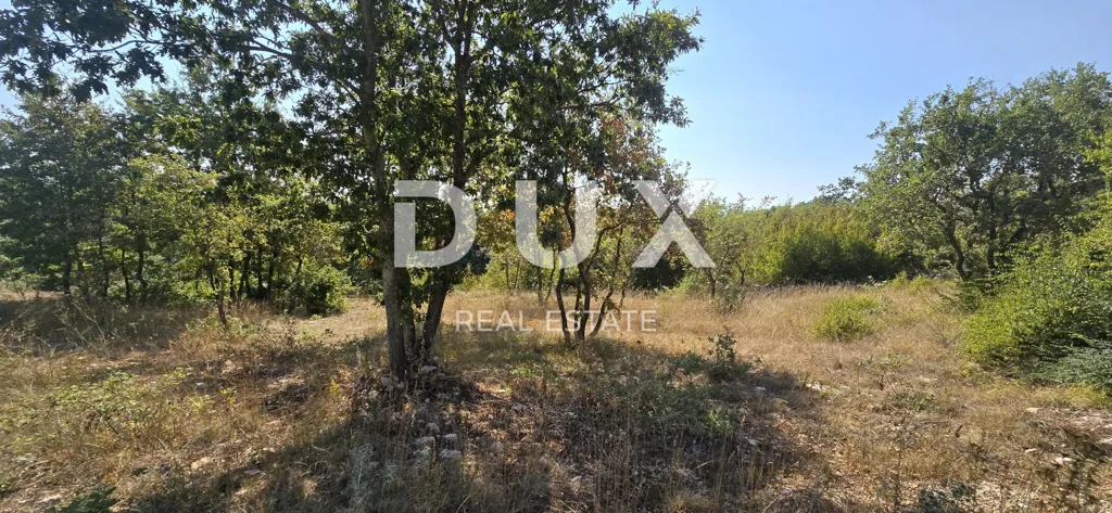 Jardin - Building Plot with Forest View in Svetvinčenat