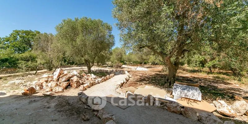 Aed - New Villa with Pool in Ostuni