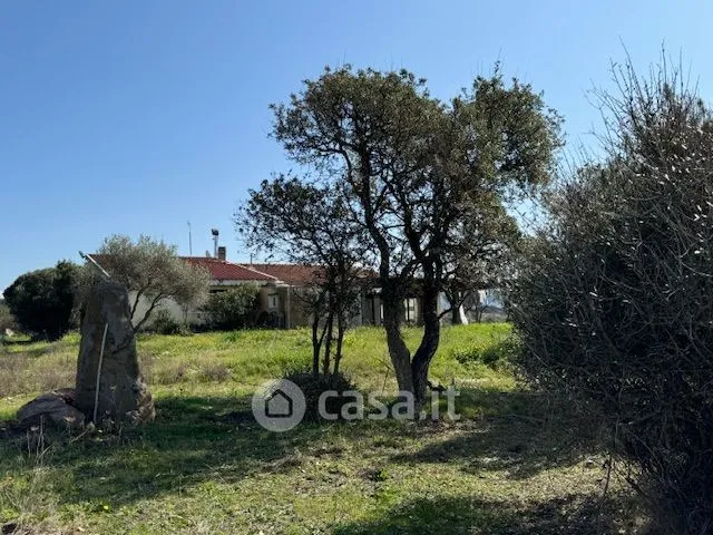 Jardin - Agritourism Property with Pool in Tresnuraghes
