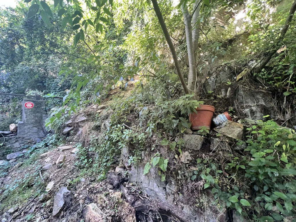 Jardin - Studio en Centre-Ville à Amélie-les-Bains