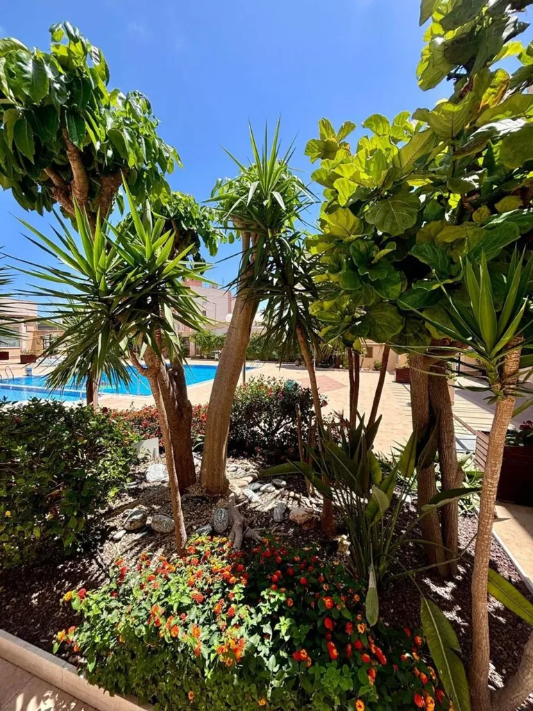 Pool - 2-Bedroom Apartment with Terrace in Cabo Roig