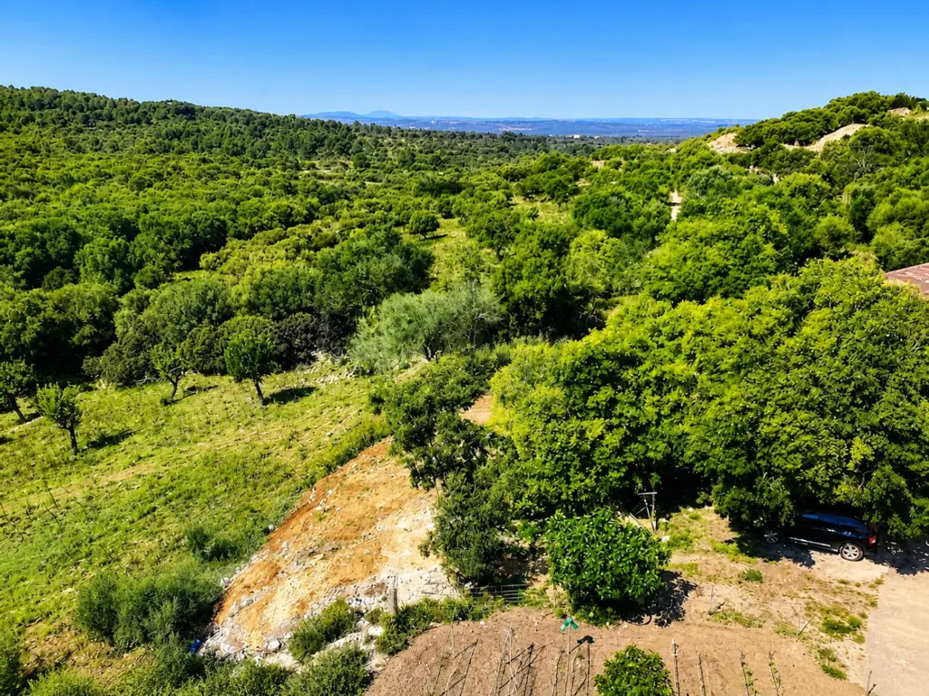 Õhuvaade - Large Estate with Agrotourism Project in Artà