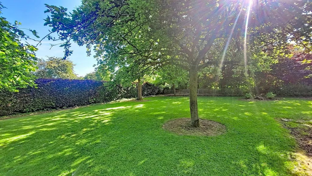 Jardin - Villa avec Espace Professionnel à Haillot