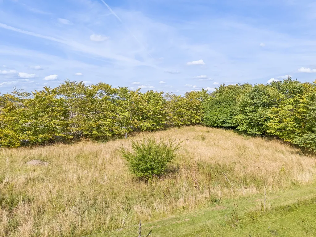 Jardin - Year-Round Plot with 5G Coverage in Haslev