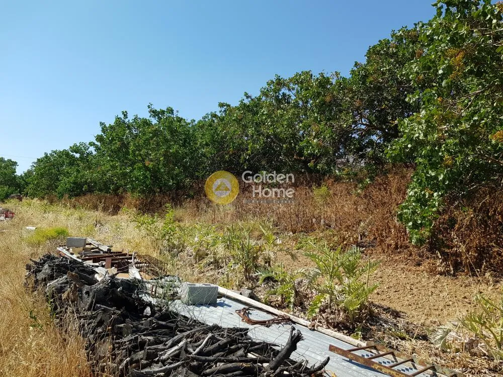 Aed - Plot for Development with Mountain View in Neos Koutavas