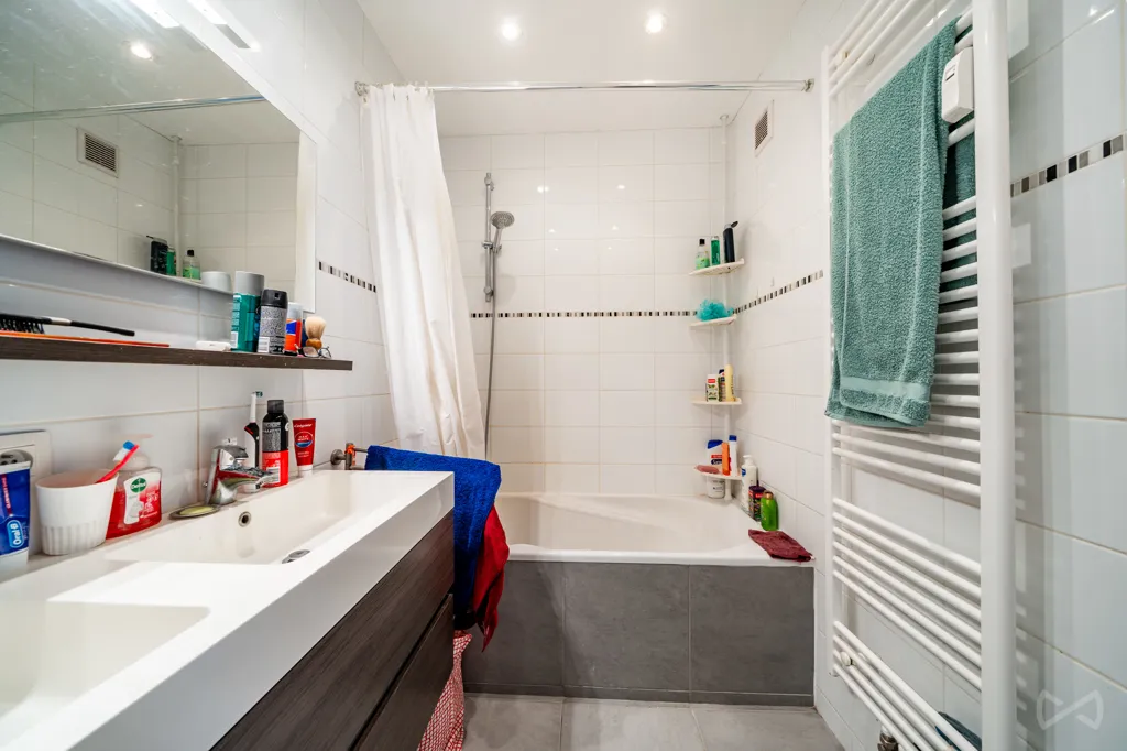Vannitoad - Spacious Apartment with Terrace in Schaerbeek