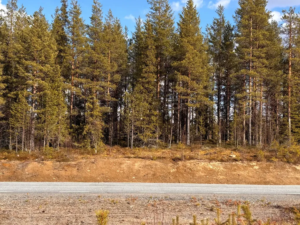Aed - Forest Property with Development Potential in Gällivare