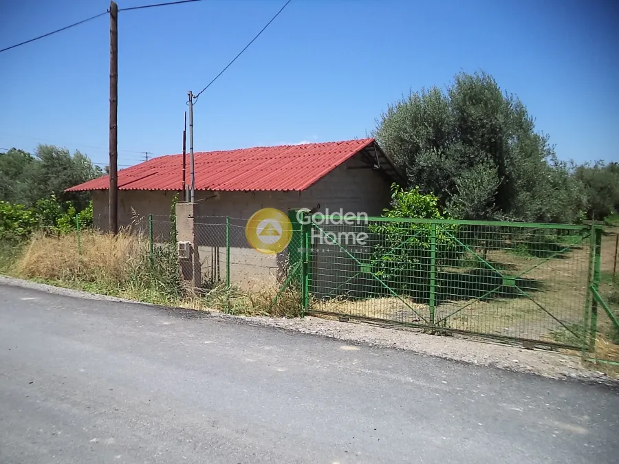 Extérieur - Plot with Sea View in Diakopto - Elia