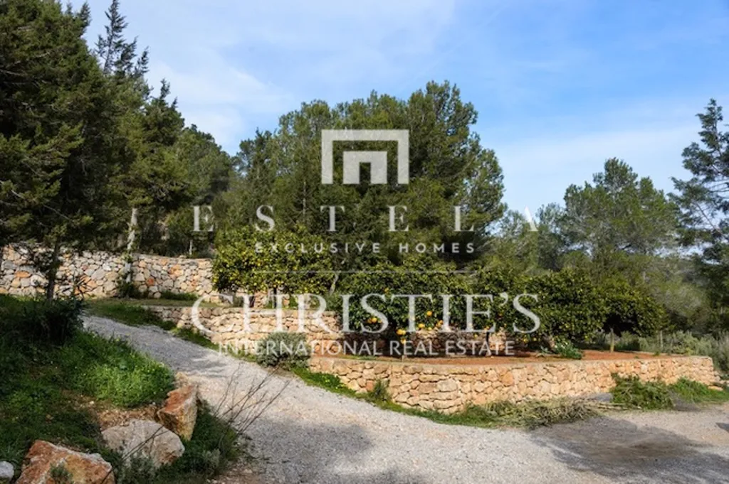 Aed - Restored Finca with Pool in San Antonio