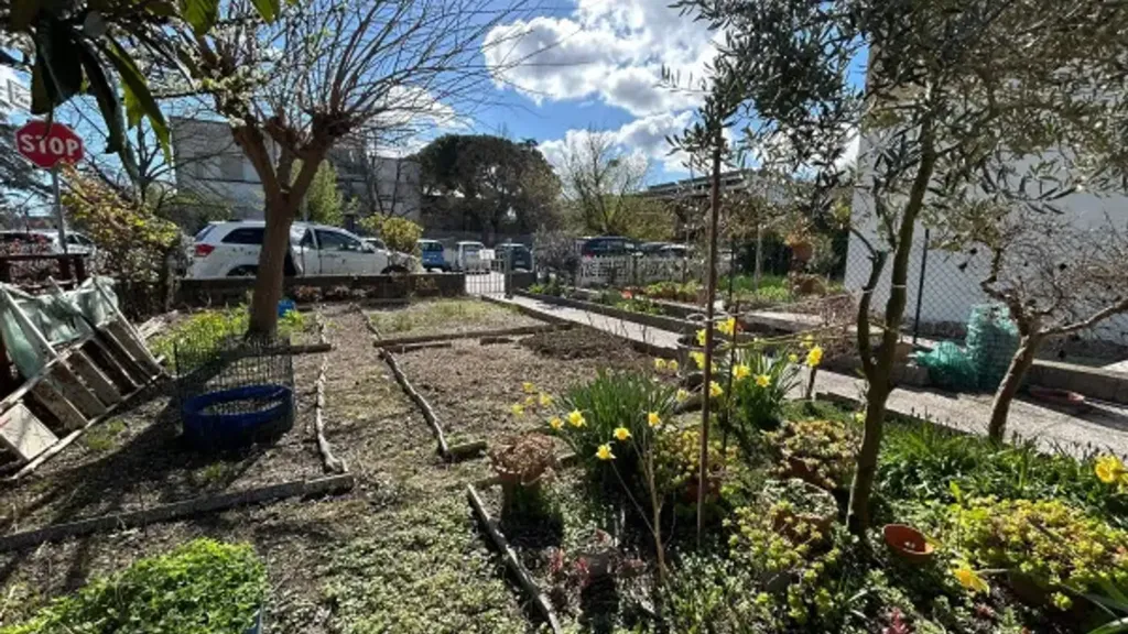 garden