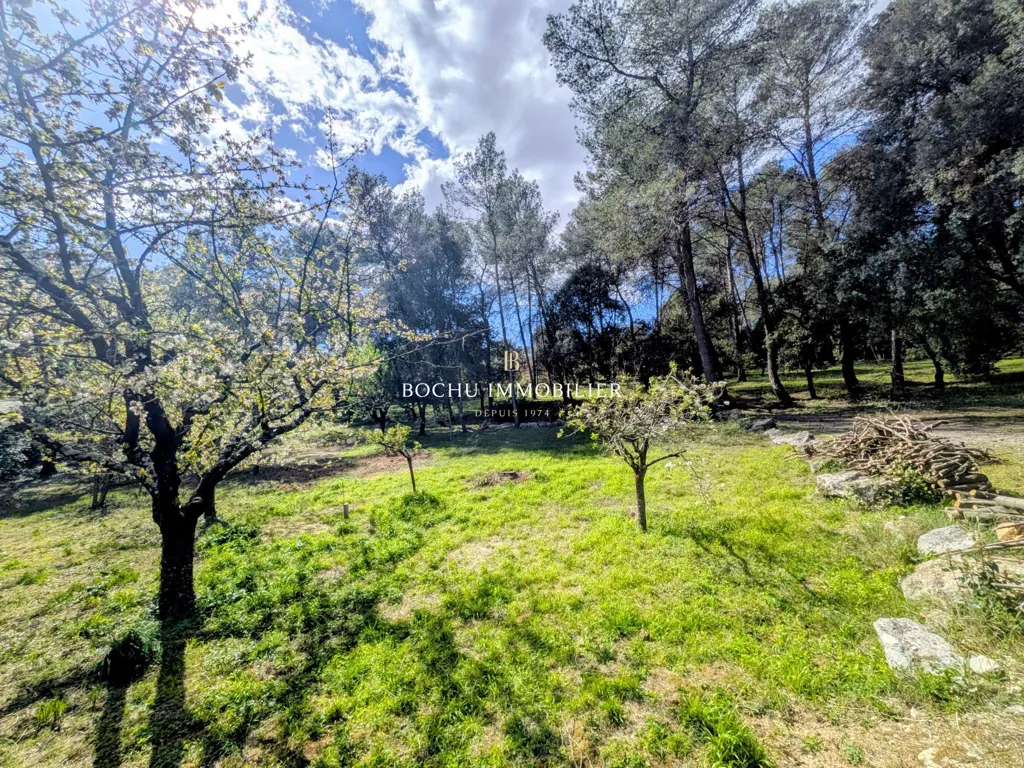 Aed - Architect House with Pool in Pine Forest near Montpellier