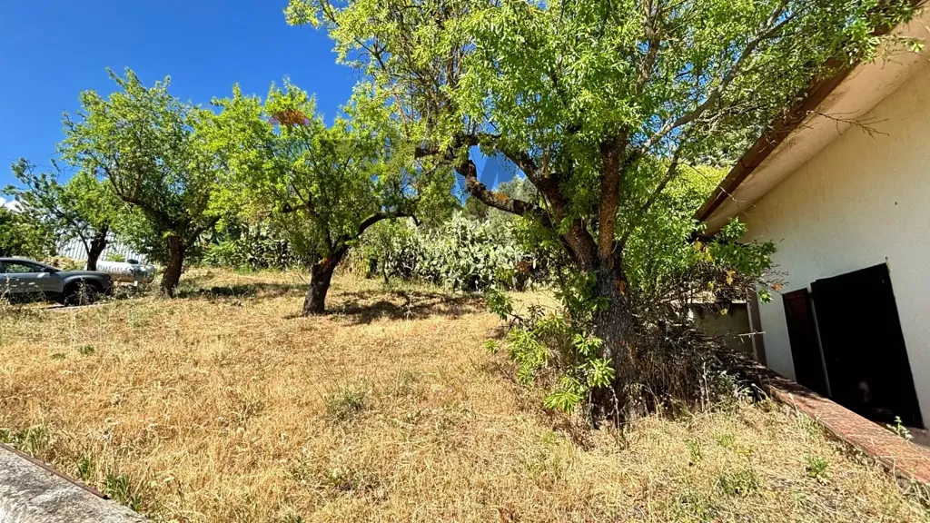 Aed - Villa with Olive Grove in Alimena