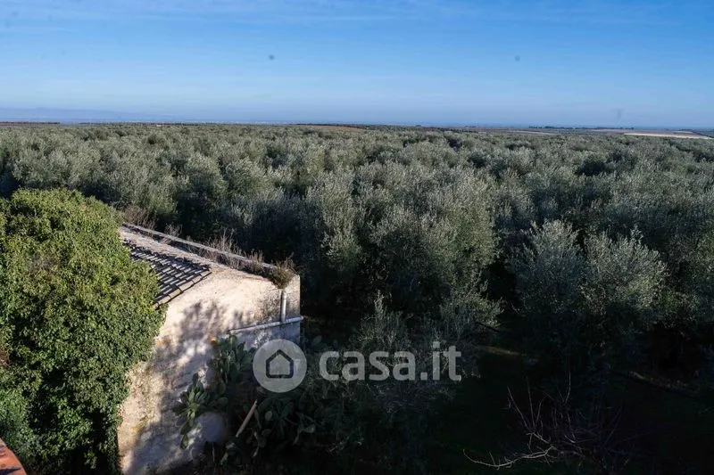 Vue aérienne - Masseria with Olive Grove in Barletta