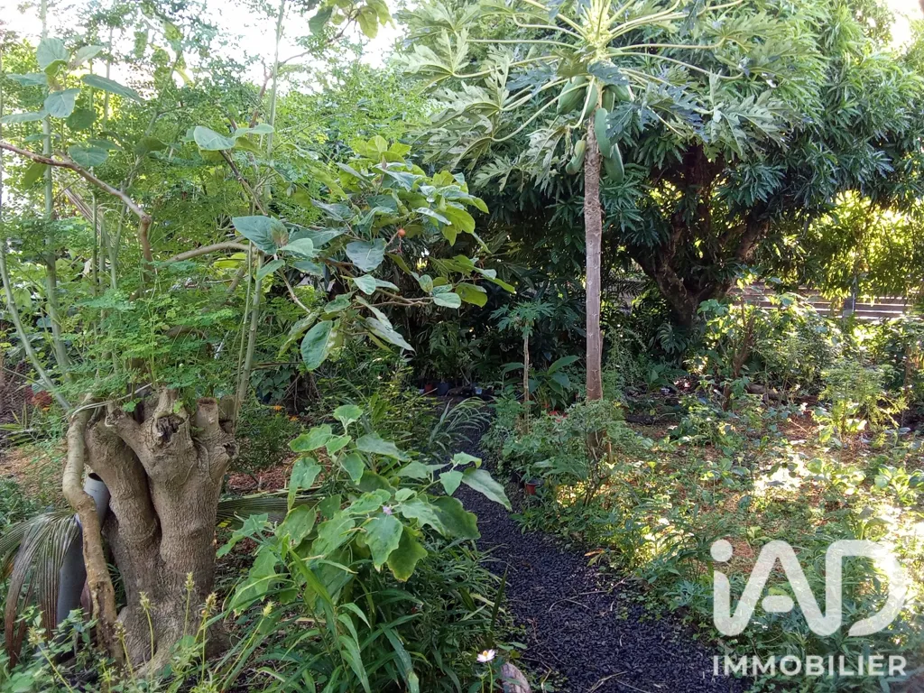 Giardino - Duplex Property with Garden in Saint-Philippe
