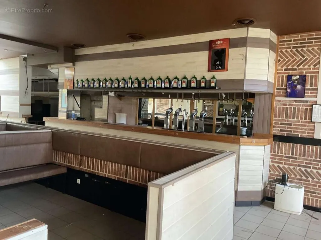 Toad - Commercial Premises on Berck Plage