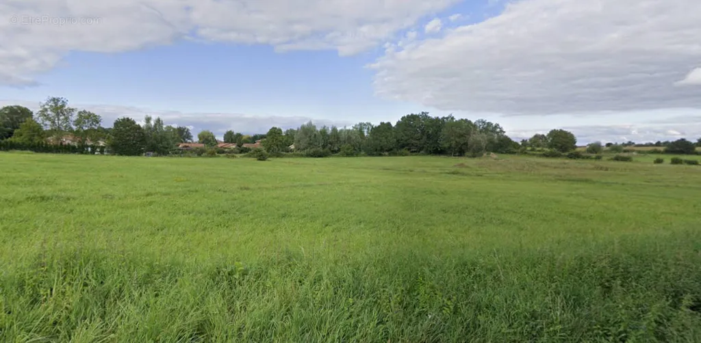 Jardin - Terrain Viabilisé à 4 km de Bâgé-la-Ville