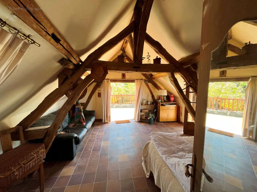 Toad - Charming Two-Home Property with Garden in Sens
