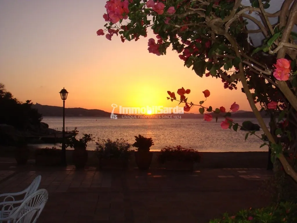Terrace - Beachfront Villa with Pool in Porto Rafael