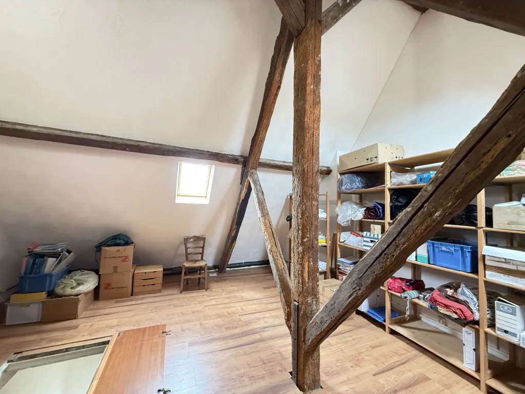 Toad - Character Town House with Garden in Châtellerault Centre