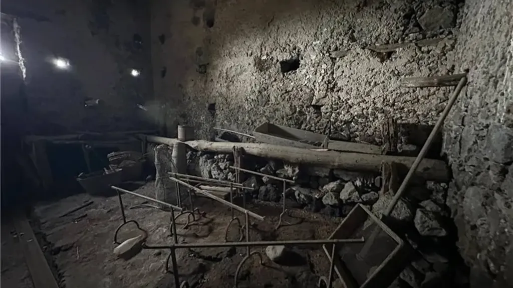 cellar