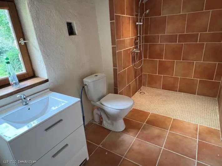 Vannitoad - Spacious House with Large Garden in Cellefrouin