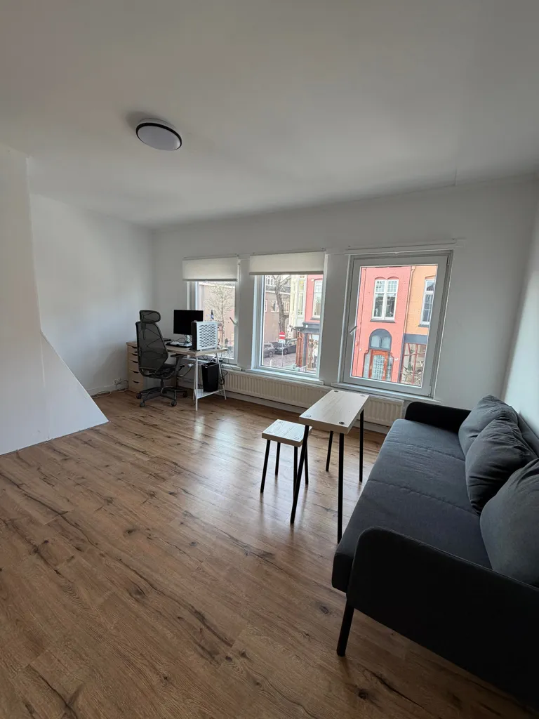 Séjour - Studio with Kitchen near Zwolle Centre