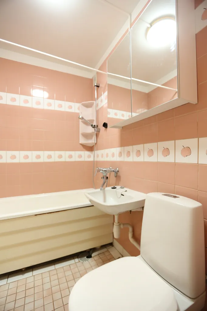 Appartement 1 pièces à FI