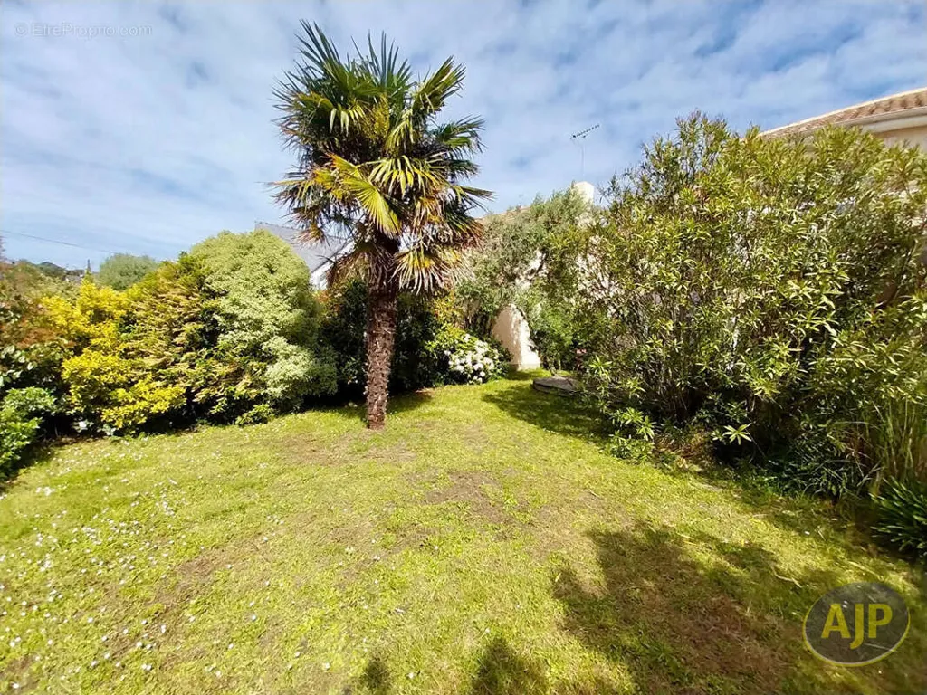 Jardin - Villa d'Architecte avec Jardin à Saint-Marc-sur-Mer
