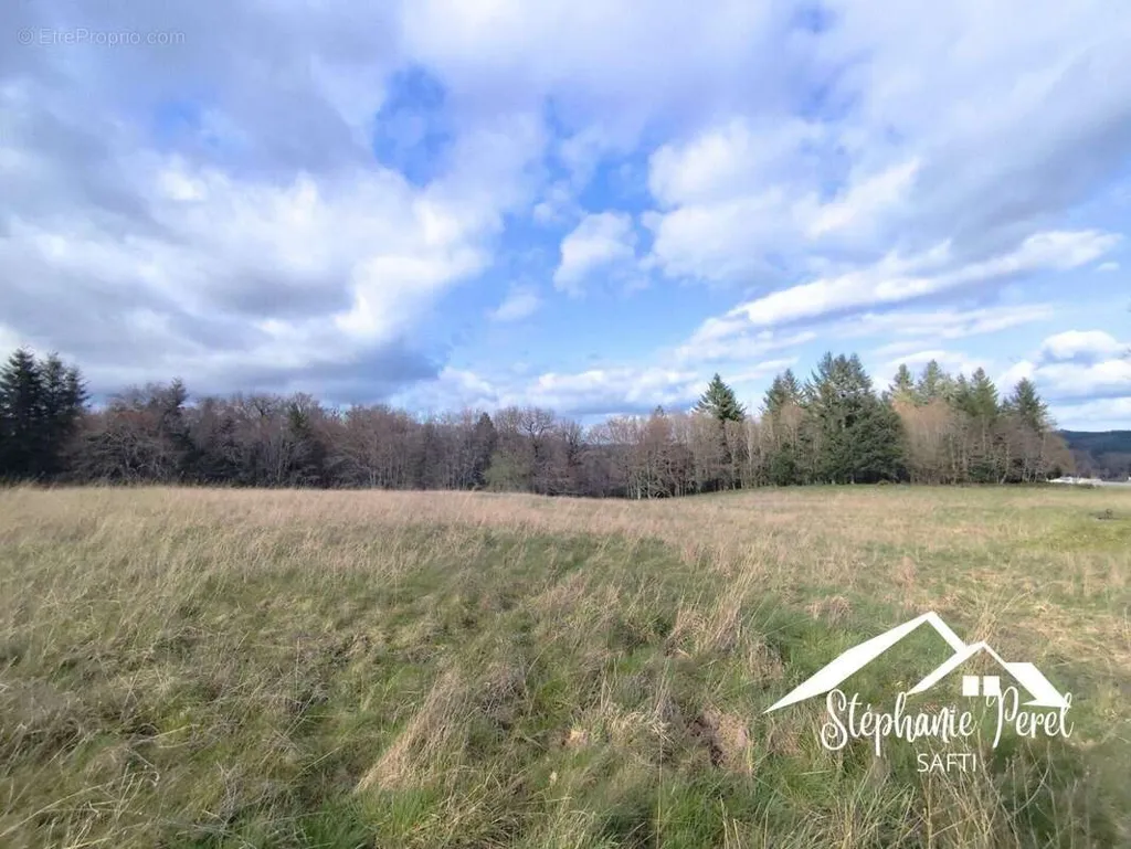 Jardin - Terrain Agricole à Meymac pour Projet Rural
