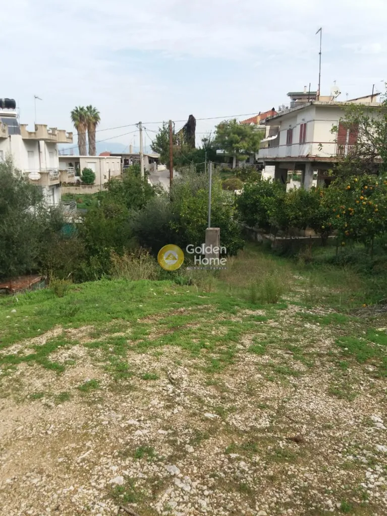 Jardin - Plot with Panoramic View in Brachnaiika Centre