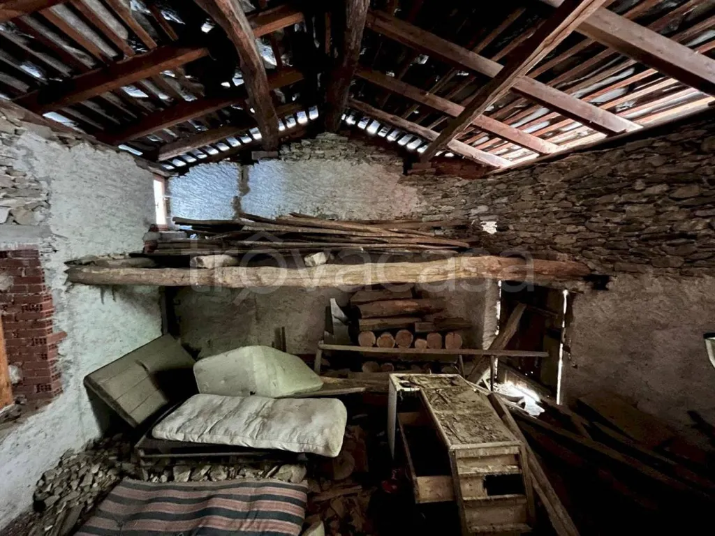 Toad - Rustic House with Garden in Frassino
