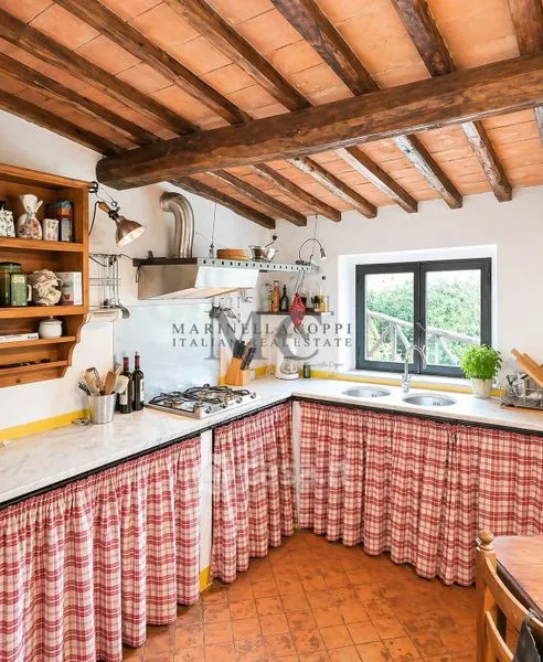 Cuisine - Chianti Farmhouse with Vineyard and Pool in Greve