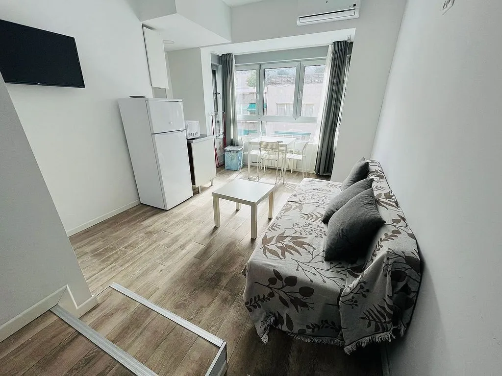 Furnished Flat with Air Conditioning in Chamberí