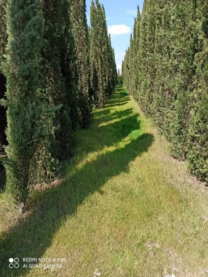 land_plot