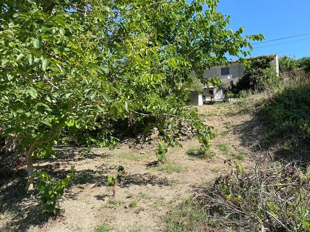 Jardin - Maisonette with Land in Allimatades, Corfu