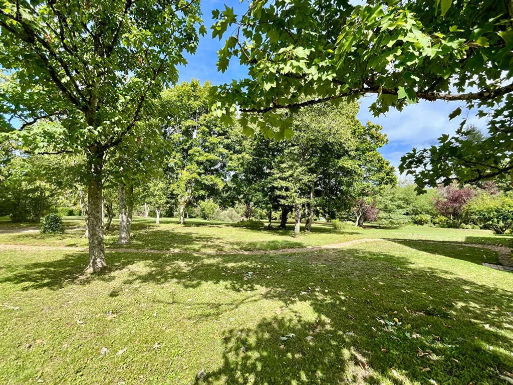 Aed - House with Loire View in Rochecorbon