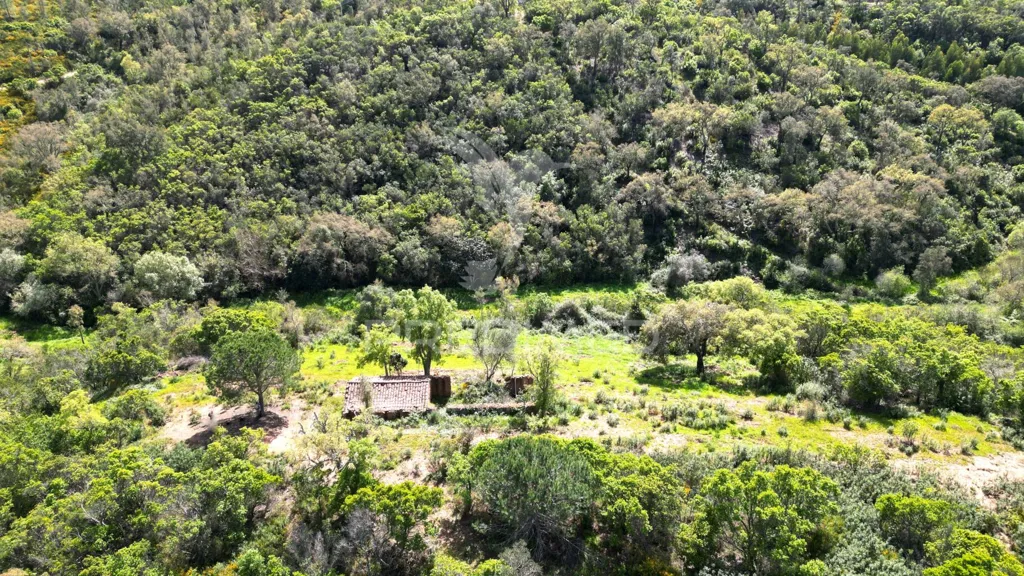 Õhuvaade - Rustic Quinta with Ruin in Alentejo