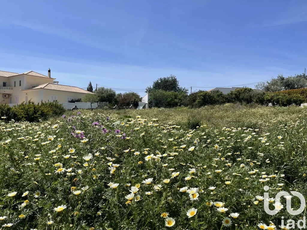 Jardin - Approved Project Land with Panoramic View in Boliqueime