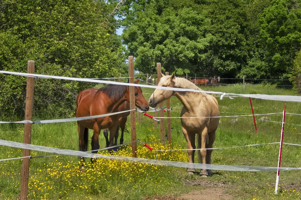 Aed - Equestrian Estate with Stables in Kolbäck