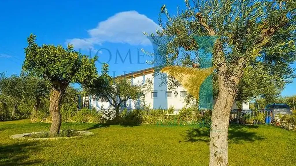 Garden - Villa with Olive Grove in Noto
