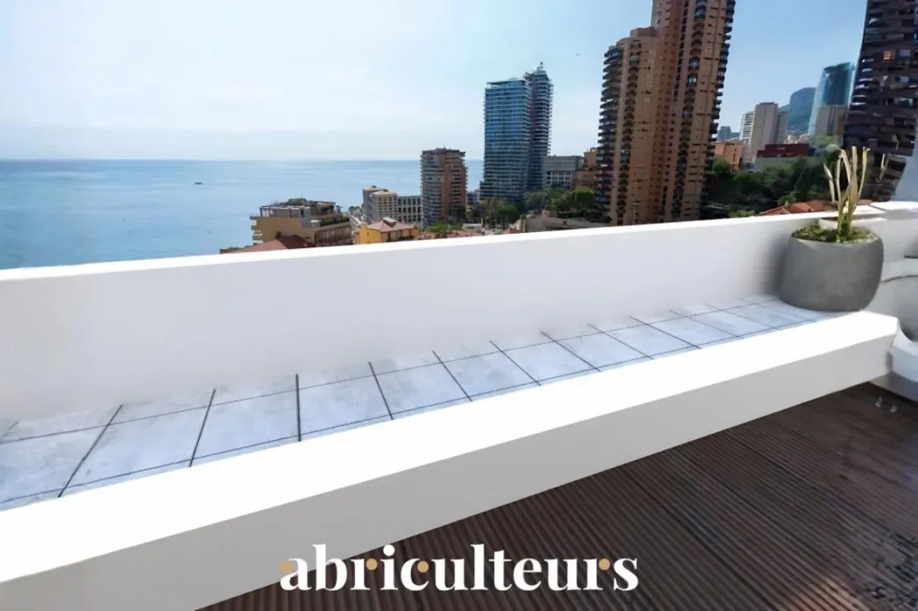 Terrasse - 2 Pièces de Prestige à 500 m de Monaco