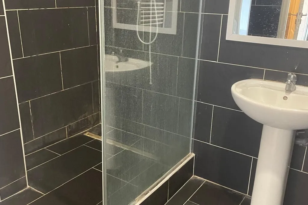 Salles de bain - Appartement avec Balcon et Vue Mont Blanc à Annemasse