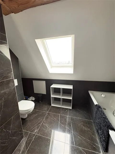 Vannitoad - 1-Bed Apartment in Blotzheim