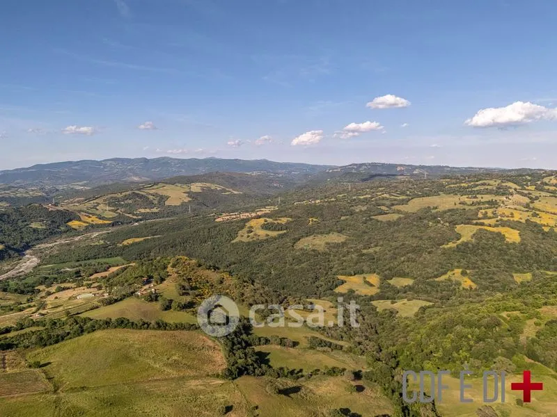 Õhuvaade - Rural Podere with 24 Hectares in Scansano