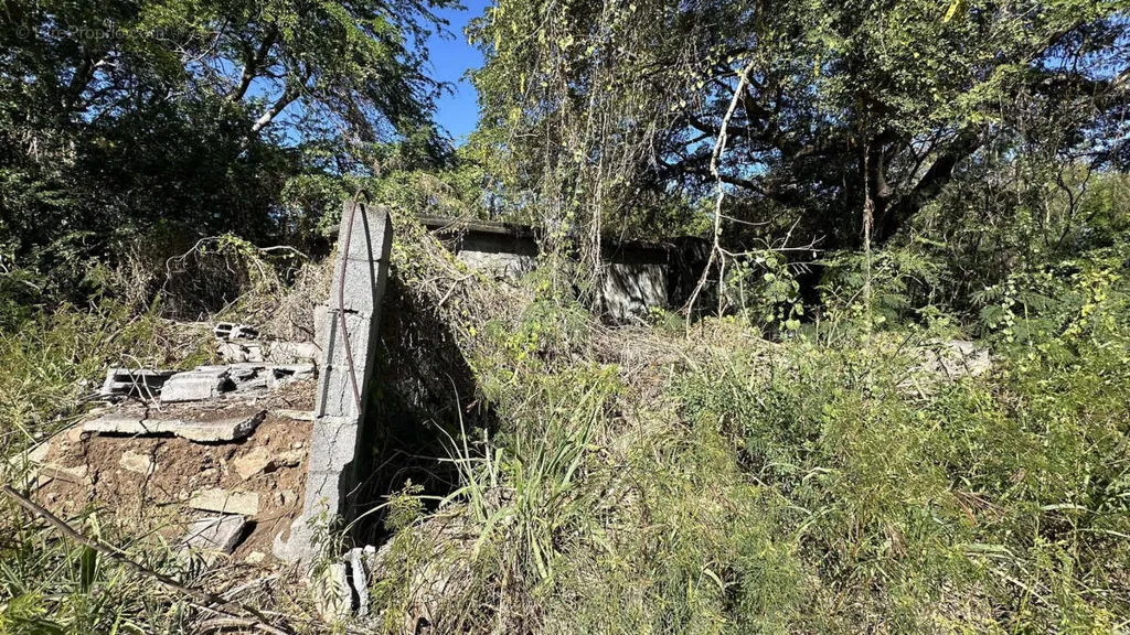 Giardino - Constructible Plot in L'Étang-Salé