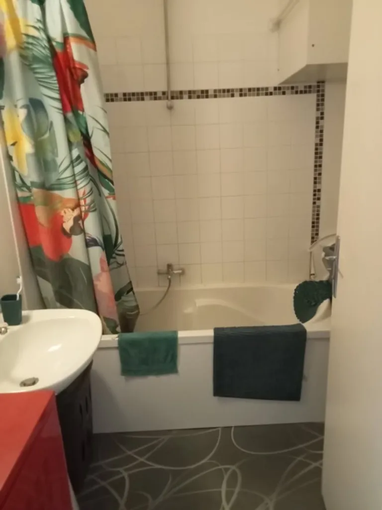 Salles de bain - Appartement Lumineux en Centre-Ville à Luçon