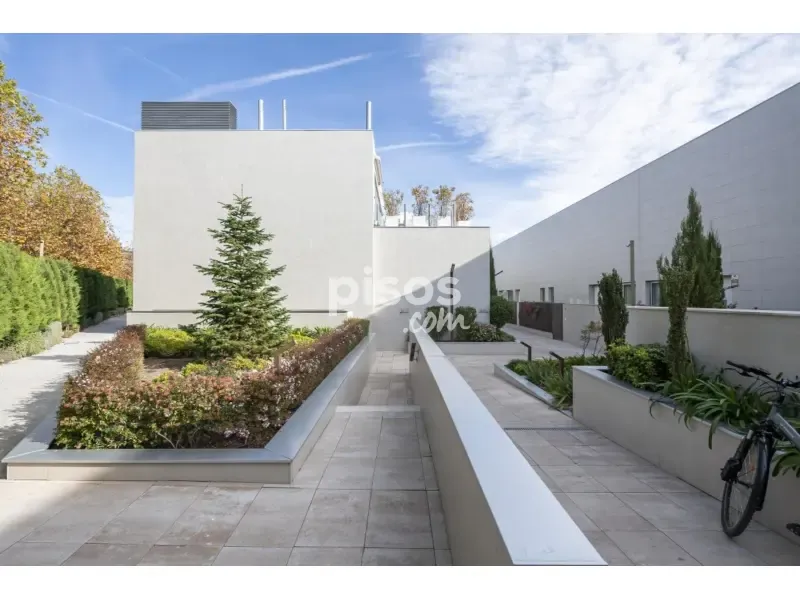 Jardin - Luxury Villa with Pool in Alcobendas