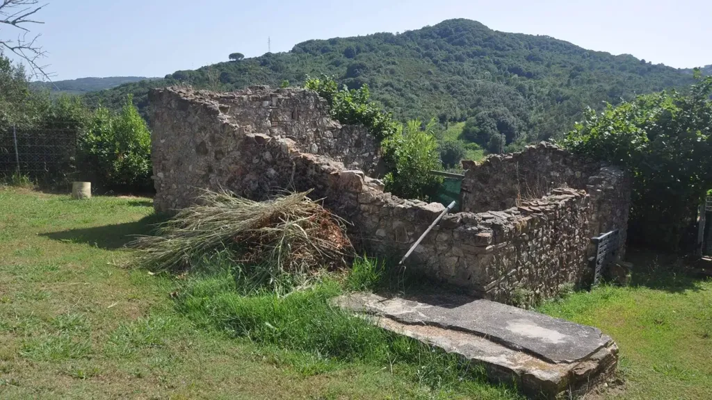 Extérieur - Villa with 360° View in Rosignano Marittimo